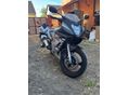 SUZUKI GS 500 F 2006/8 - 4