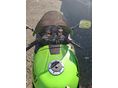 KAWASAKI ZX-7R (NINJA) 1999/3 - 3