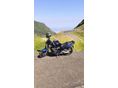 SUZUKI GSF 1200 (BANDIT) 2002 - 3