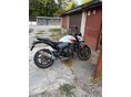 HONDA CB 600 F (HORNET) 2009 - 4