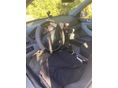 SKODA FABIA 2001/3 - 6