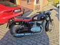PANNONIA T5 1970 - 4