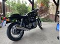 TRIUMPH THRUXTON 2013/9 - 3