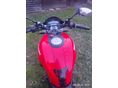 DUCATI MONSTER 696 2010/5 - 8