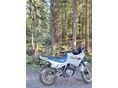 HONDA NX 650 DOMINATOR 1993/3 - 3