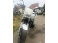 KAWASAKI ZR-7S 2001/5 - 5