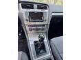 VOLKSWAGEN GOLF VII 2014/2 - 6