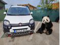FIAT PANDA 2019/9 - 1