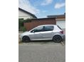 PEUGEOT 307 2004/9 - 2