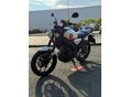 YAMAHA XSR Írásos RED BARON Garanciával!