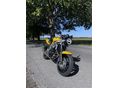 SUZUKI SV 650 N 2002/10 - 6