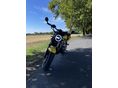 SUZUKI SV 650 N 2002/10 - 9