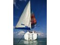 REBELL WERFT 1999 - 4