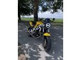 SUZUKI SV 650 N 2002/10 - 2