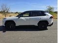 TOYOTA RAV 4 2020/1 - 3