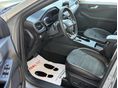 FORD KUGA 2023/3 - 5