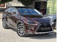 LEXUS NX 2020/8 - 3