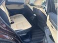 LEXUS NX 2020/8 - 5
