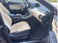 LEXUS NX 2020/8 - 6