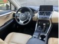 LEXUS NX 2020/8 - 7