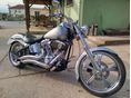 HARLEY-DAVIDSON SOFTAIL Custom