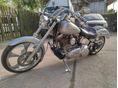 HARLEY-DAVIDSON SOFTAIL 2007/7 - 4