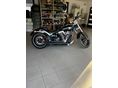 HARLEY-DAVIDSON BREAKOUT 2013 - 6