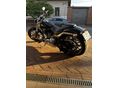 HARLEY-DAVIDSON BREAKOUT 