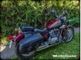 YAMAHA XV 250 (VIRAGO) 1995/5 - 7