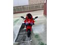 HONDA CBR 600 RR 