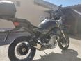 MOTO GUZZI STELVIO 2025/6 - 4