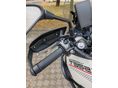 MORBIDELLI T352X 2026/5 - 4