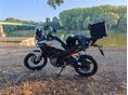 MORBIDELLI T352X 2026/5 - 7