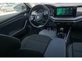 SKODA OCTAVIA 2021/7 - 8