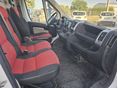 FIAT DUCATO 2011/10 - 10