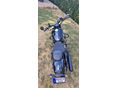 BENDA CHINCILLA 500 2025 - 3