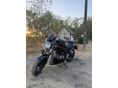 SUZUKI SV 650 N 2008 - 2