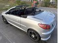 PEUGEOT 206 2003/6 - 10
