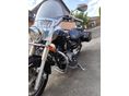 YAMAHA XVS 1100 DRAG STAR 