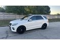 MERCEDES-BENZ ML 350 BlueTEC (Automata)