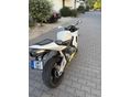 HONDA CBR 600 RR 2003 - 5
