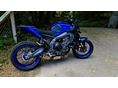 YAMAHA MT-09 2024/6 - 2