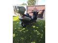 PIAGGIO X 9 2002/5 - 3