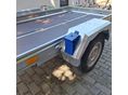 NIEWIADOW 2025/6 - 7