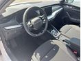 SKODA OCTAVIA 2026 - 5