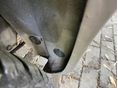 CHEVROLET TACUMA 2006/8 - 7