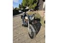 YAMAHA XVS 1100 A DRAG STAR 2004/6 - 7