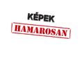 FORD KUGA 1.5 EcoBoost Titanium Plus 2WD NAVI.ÜLÉS-FŰTÉS.FÉLBÖR.V-HOROG