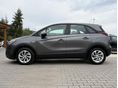 OPEL CROSSLAND X 2019/6 - 2