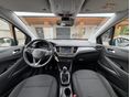 OPEL CROSSLAND X 2019/6 - 12